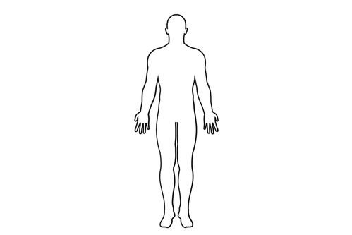Acupuncture treatment at Neuroplasticity St. Pete