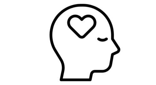 Chiropractic care and neuroplasticity in St. Petersburg FL