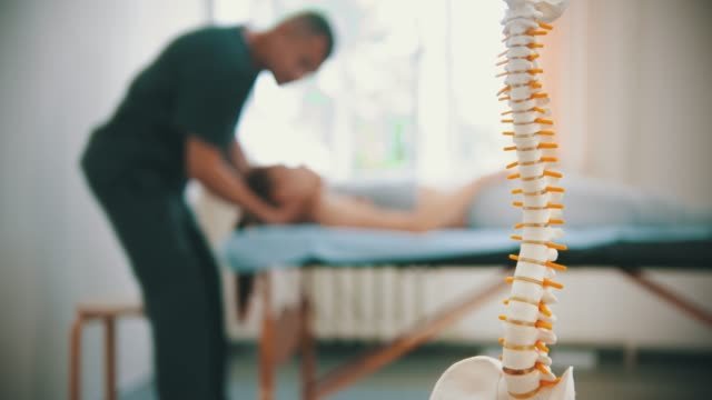 Holistic chiropractic care in St. Petersburg FL