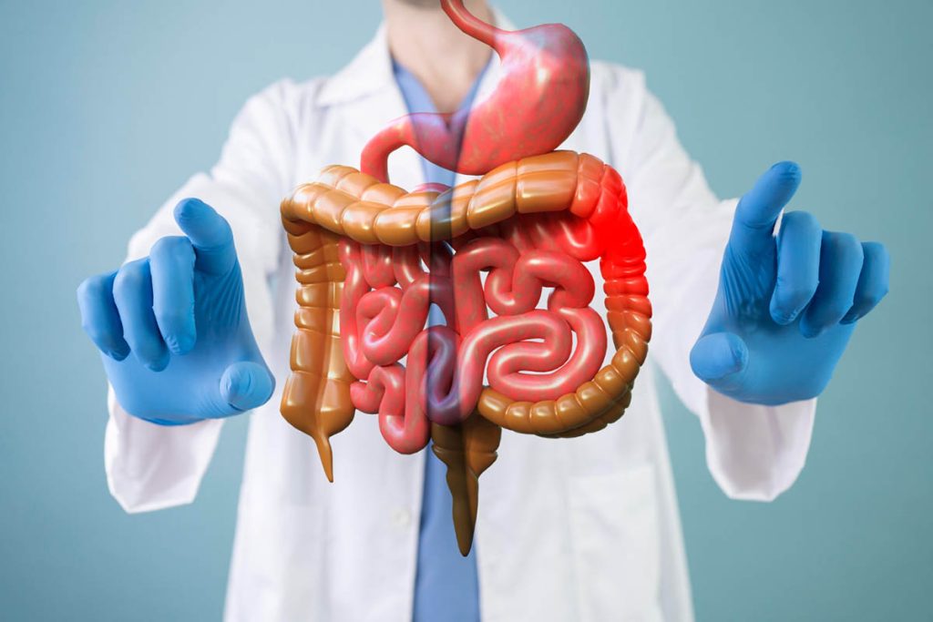 How to Heal Gut Health: A Daily Routine