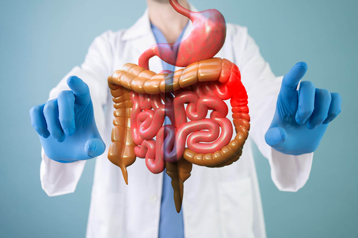 How to Heal Gut Health