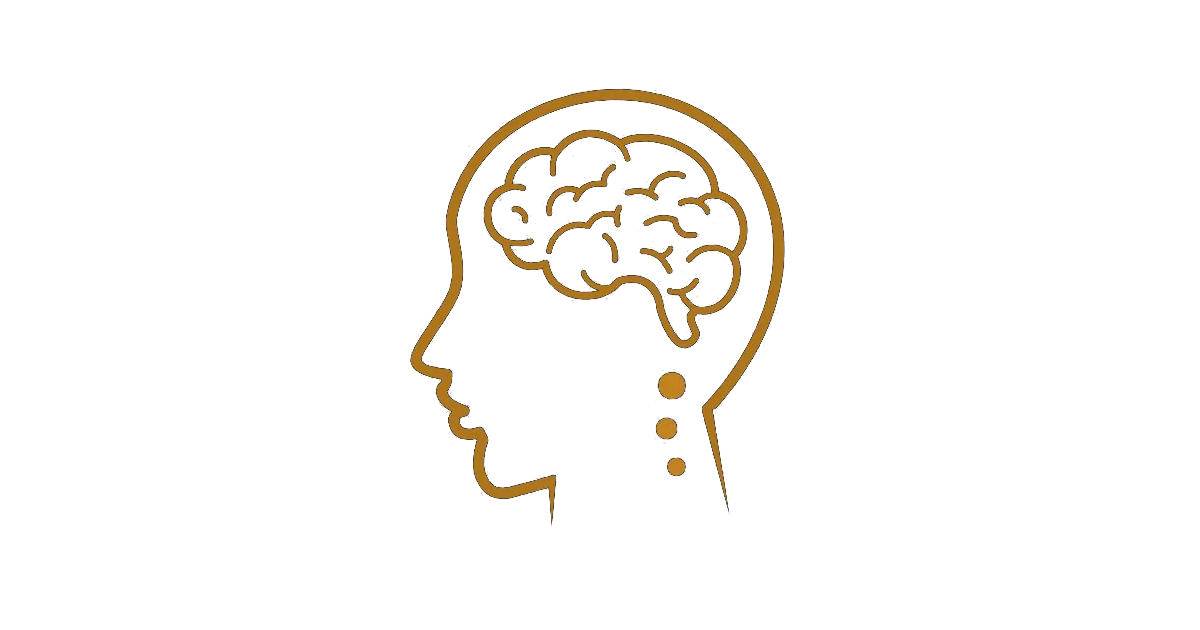 Neuroplasticity St. Pete